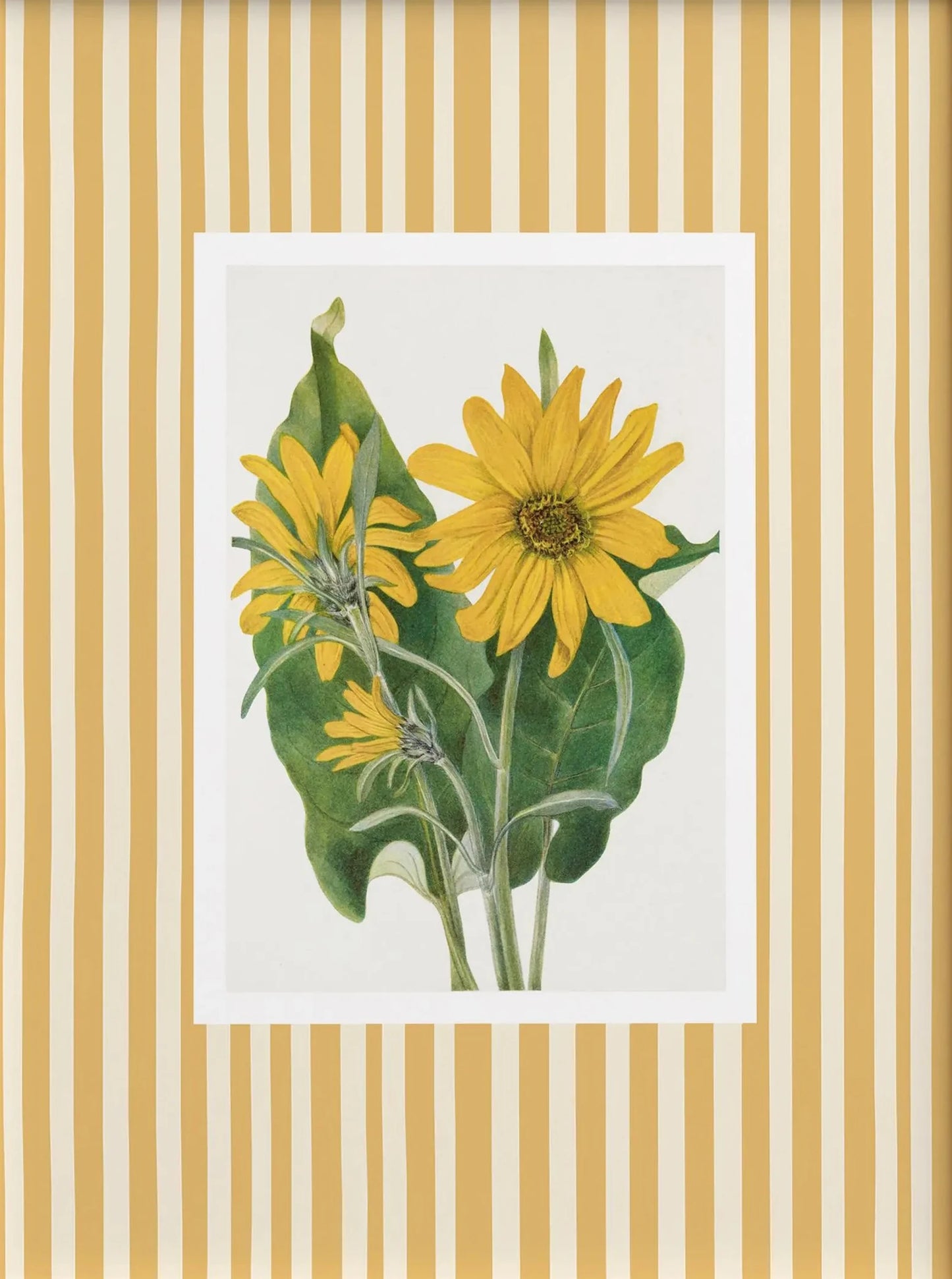 Illustration of yellow flowers with green leaves on a striped background