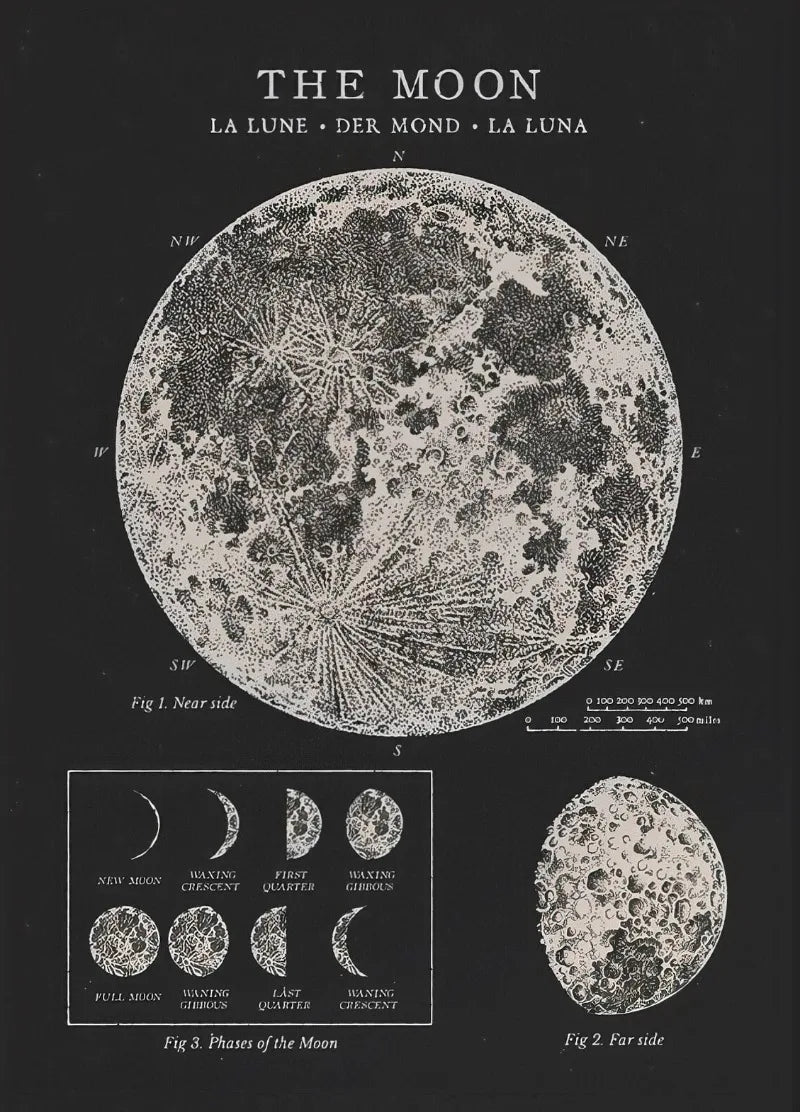 Vintage-style illustration of the moon with lunar phases on a black background