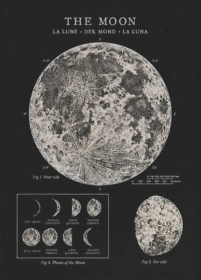 Vintage-style illustration of the moon with lunar phases on a black background