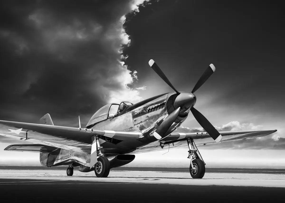 Vintage airplane on a runway with a dramatic sky