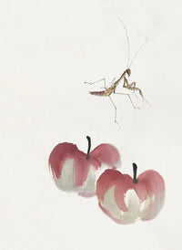 Painting V