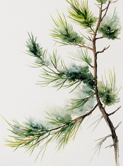 Artistic illustration of a pine branch with green needles on a light background