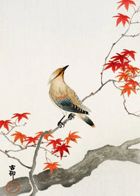 Painting XII