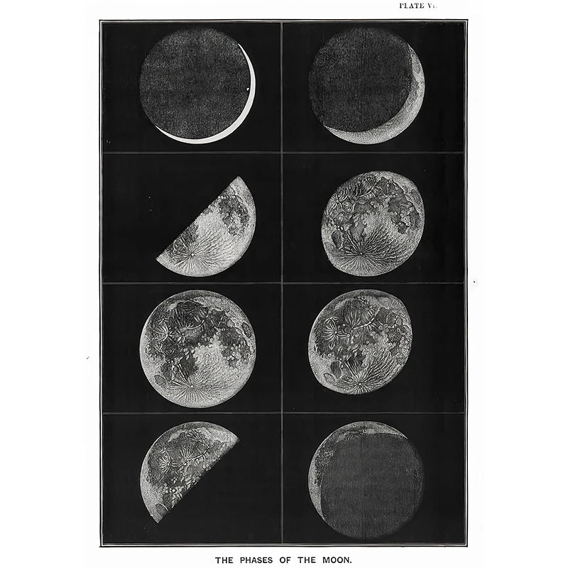 Illustration of the phases of the moon in a grid layout.