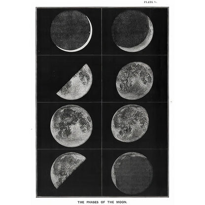 Illustration of the phases of the moon in a grid layout.