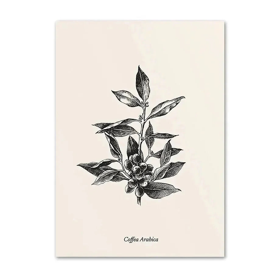 The Art of Coffee Collection - Canvas & Curio