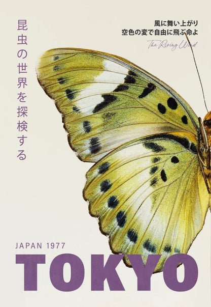 Tokyo Butterfly Collection - Canvas & Curio