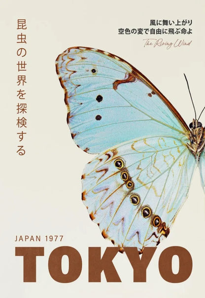 Tokyo Butterfly Collection - Canvas & Curio
