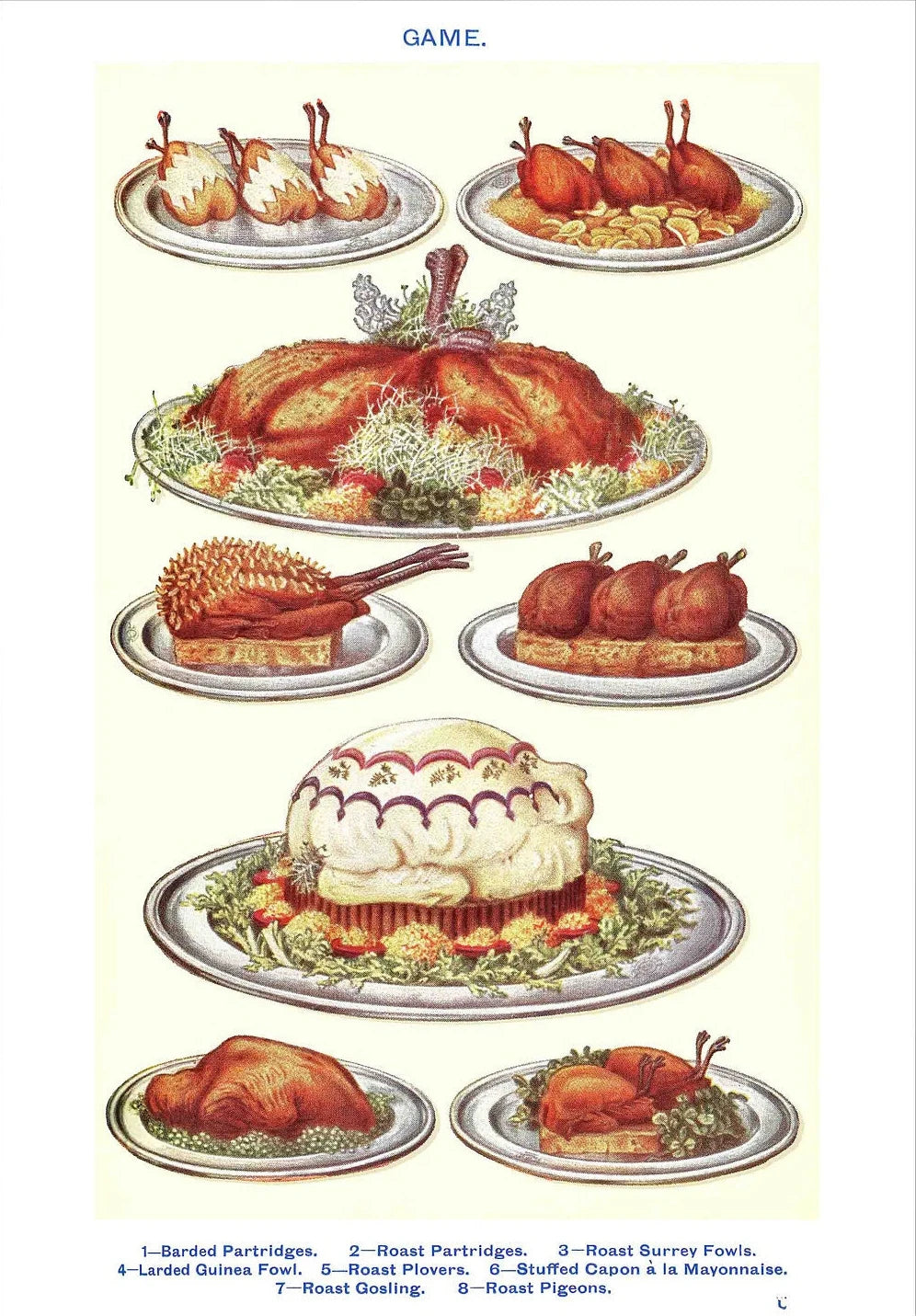 Vintage Feast Collection - Canvas & Curio