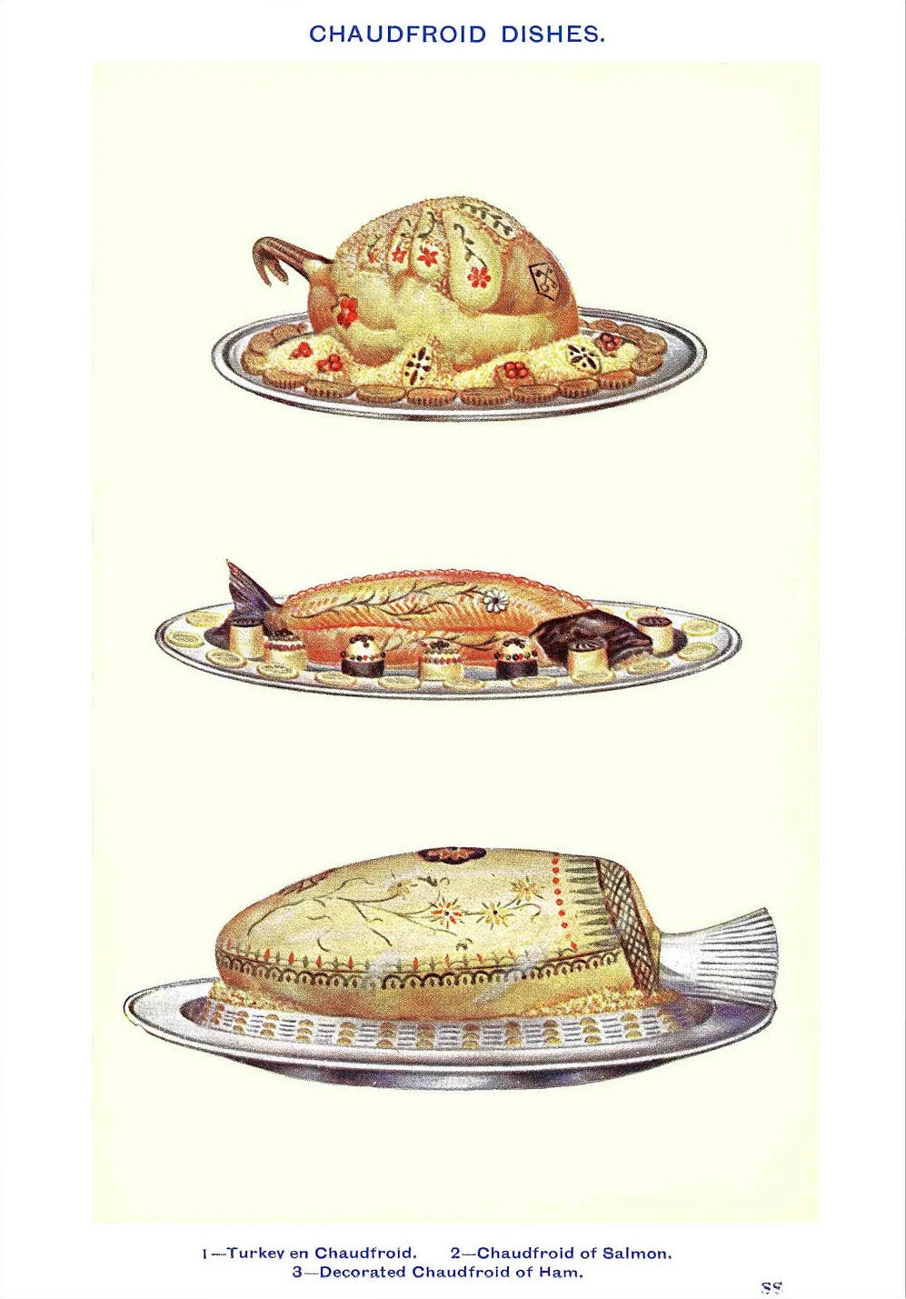 Vintage Feast Collection - Canvas & Curio