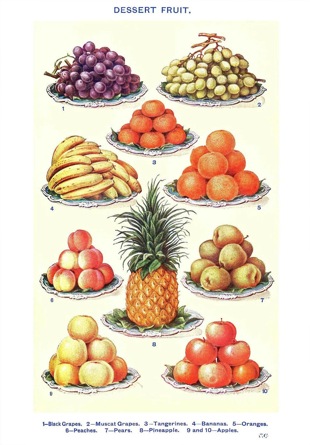 Vintage Feast Collection - Canvas & Curio