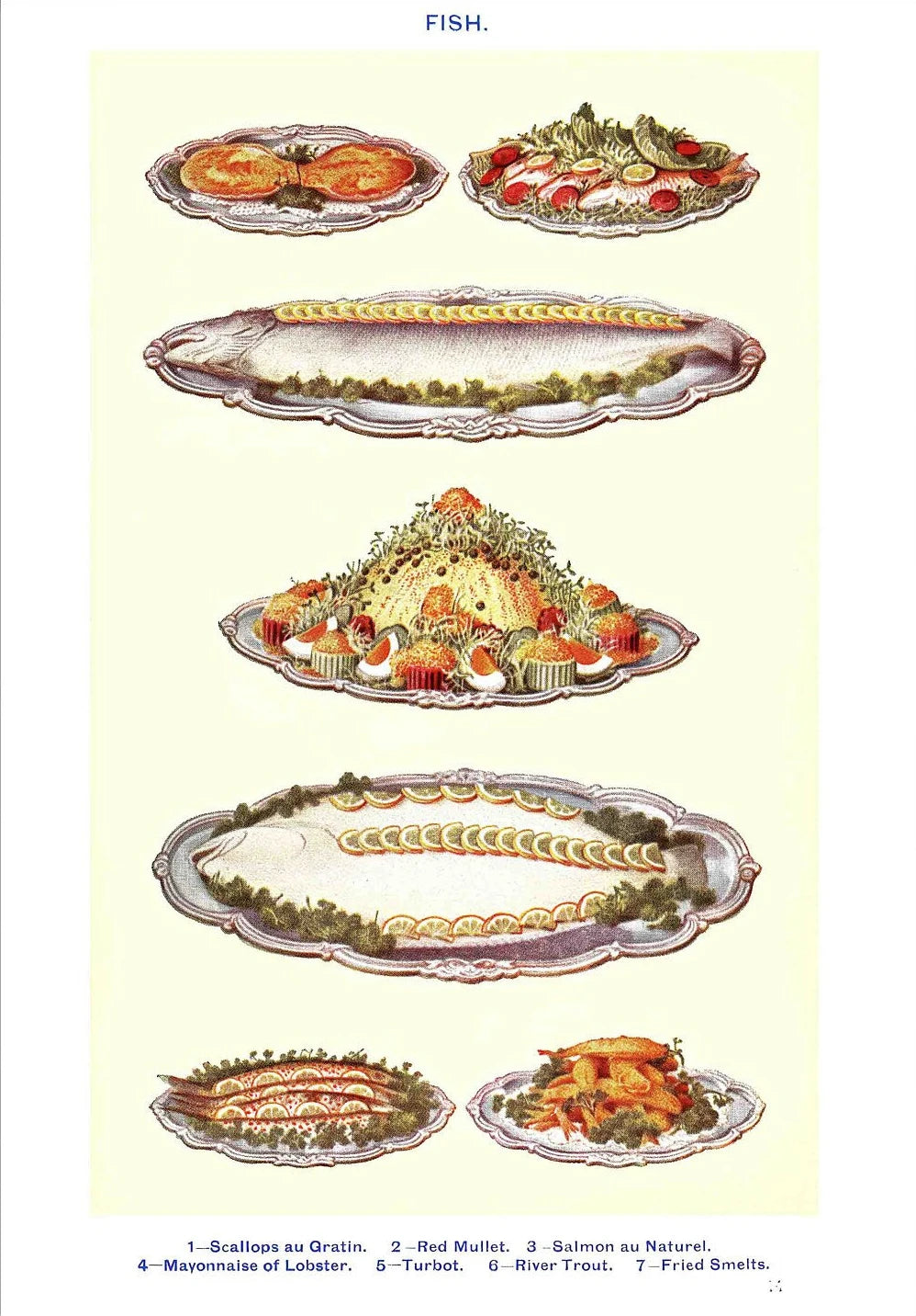 Vintage Feast Collection - Canvas & Curio