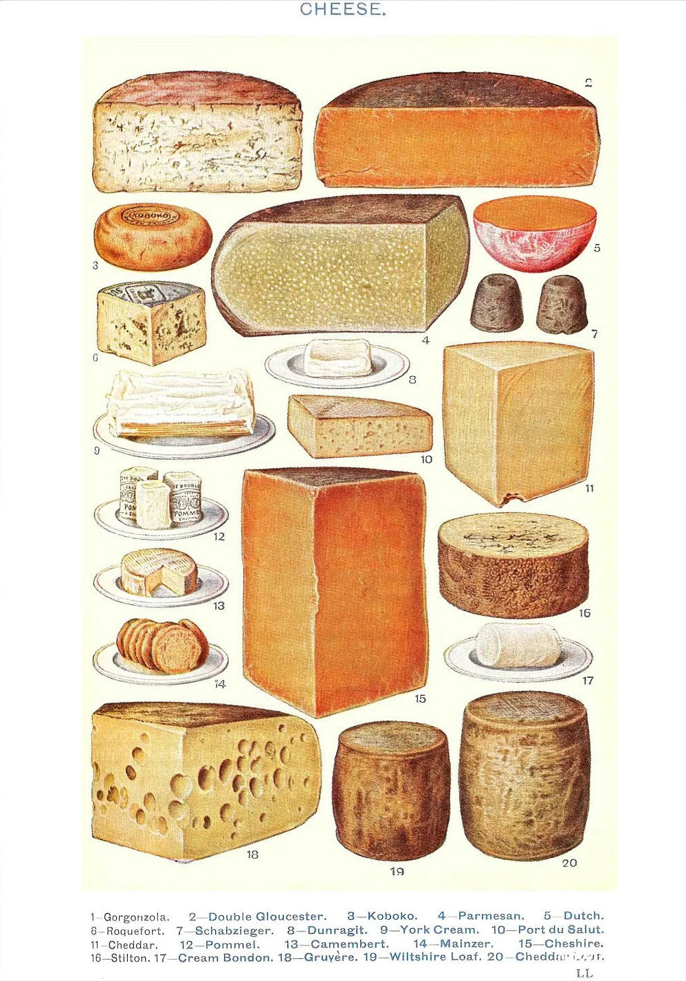 Vintage Feast Collection - Canvas & Curio