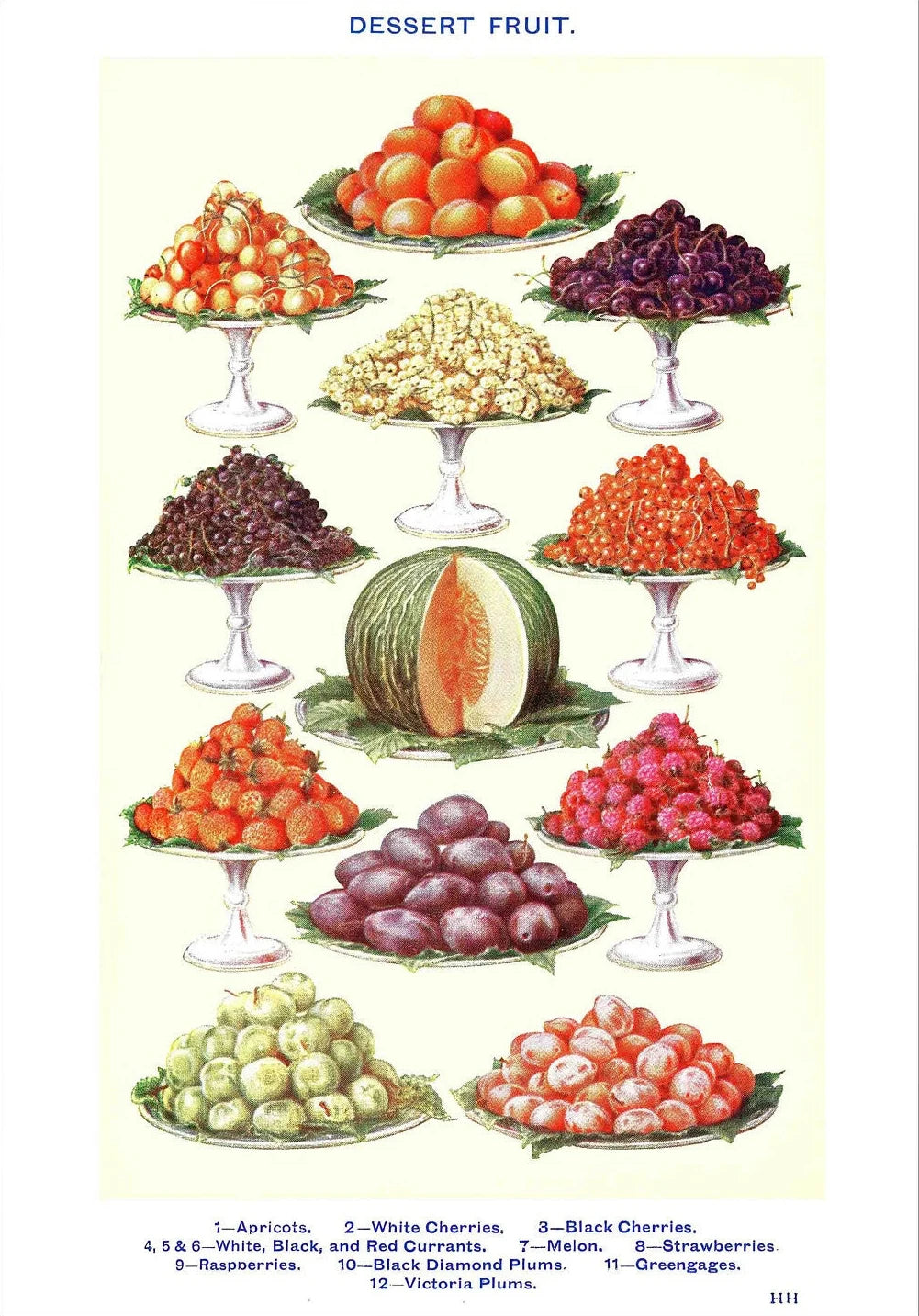 Vintage Feast Collection - Canvas & Curio