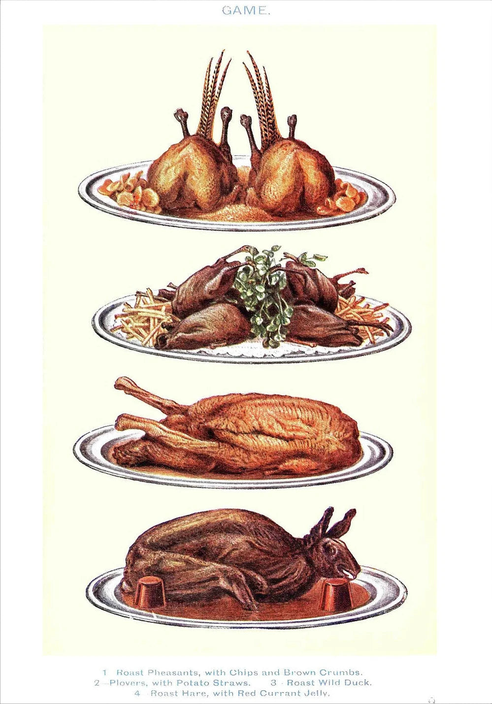 Vintage Feast Collection - Canvas & Curio