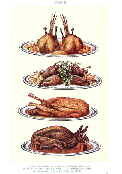 Vintage Feast Collection - Canvas & Curio