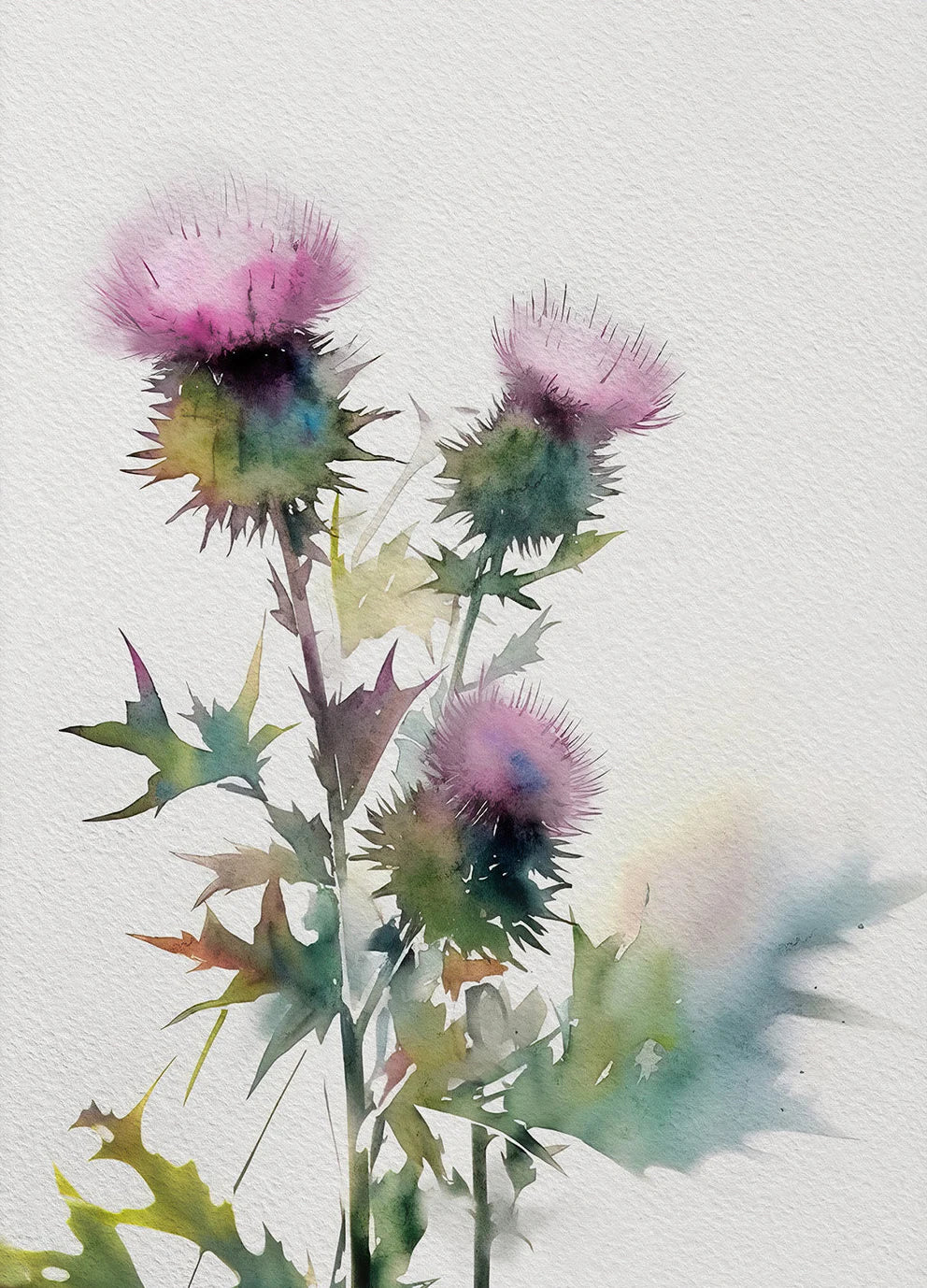 Artistic depiction of thistles with a watercolor effect on a light background