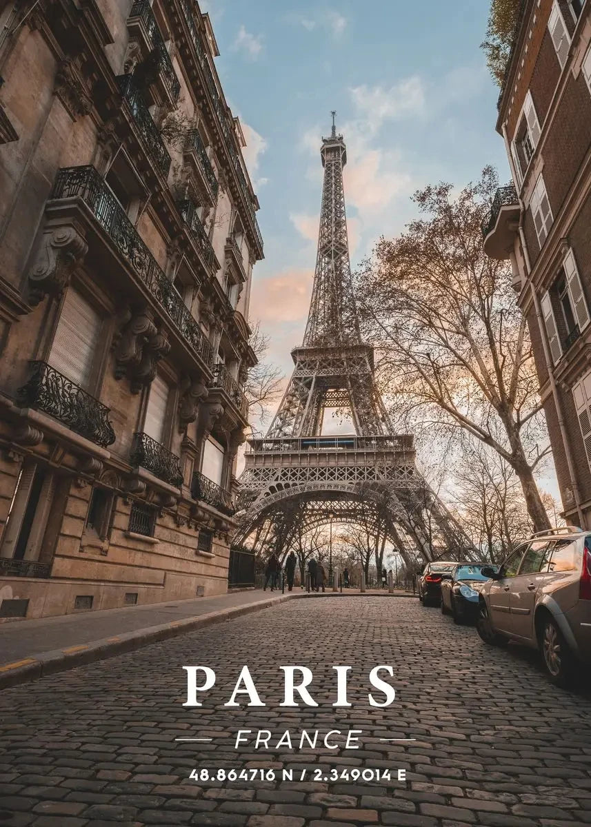 World Coordinates Collection - Canvas & Curio