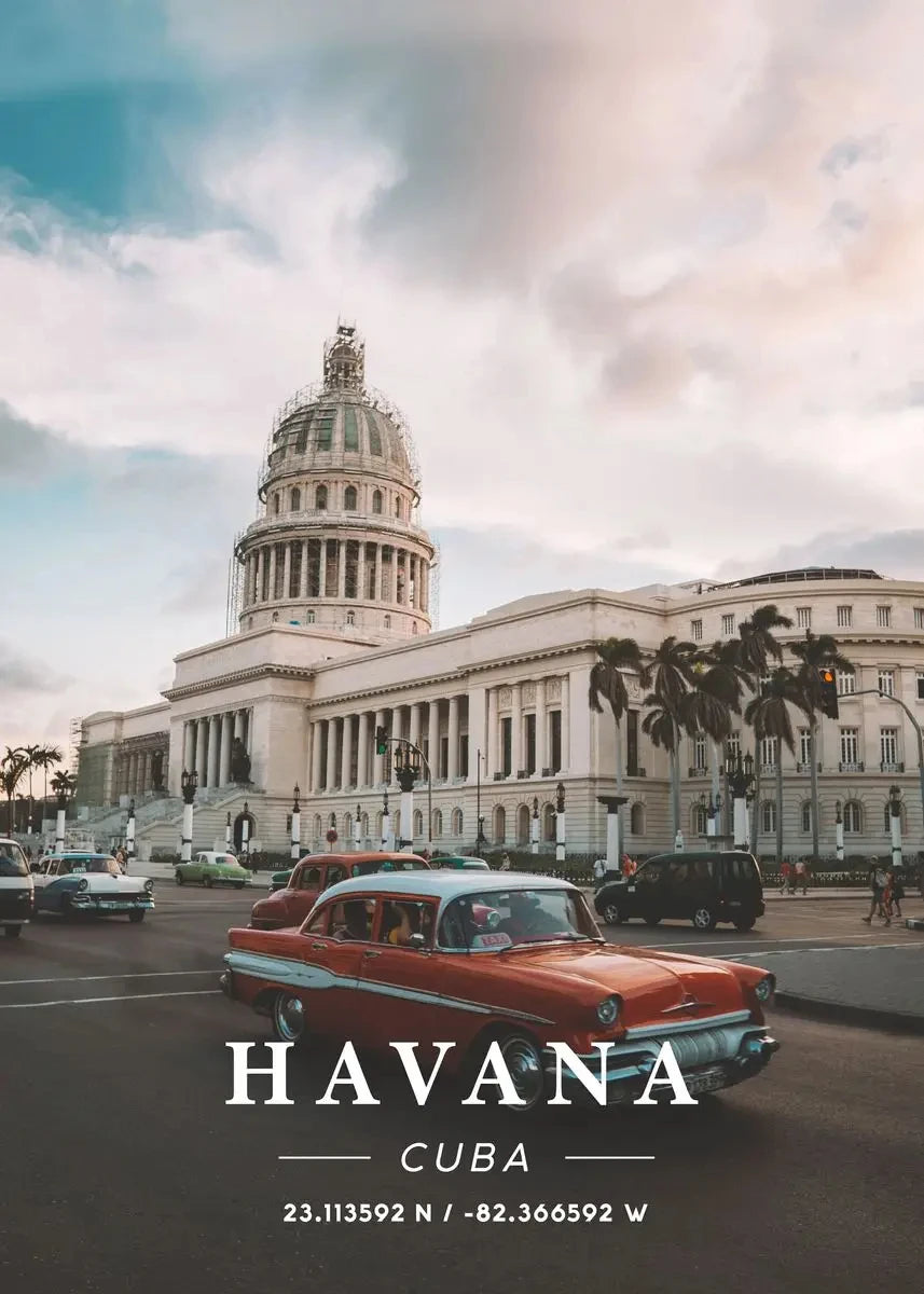 World Coordinates Collection - Canvas & Curio