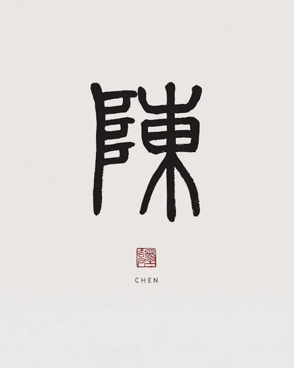 Xiaozhuan Calligraphy Collection - Canvas & Curio