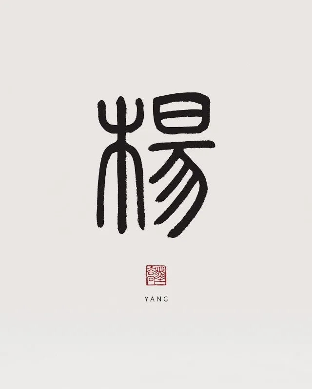 Xiaozhuan Calligraphy Collection - Canvas & Curio