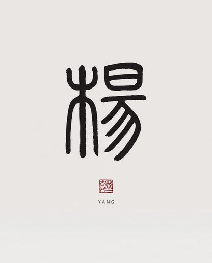 Xiaozhuan Calligraphy Collection - Canvas & Curio