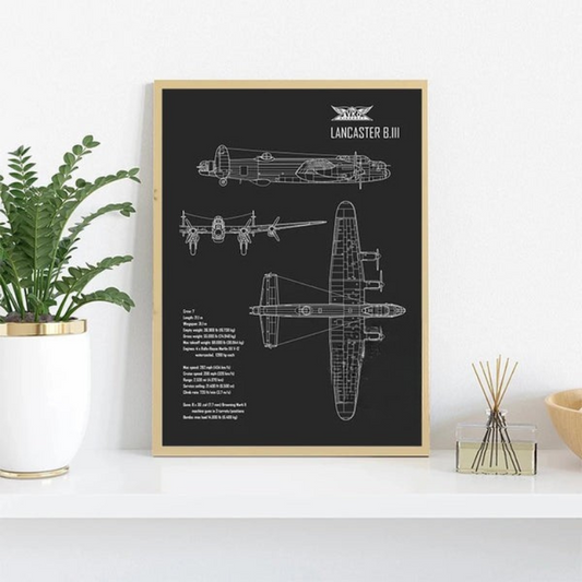 Aircraft Blueprint Collection - Canvas & Curio
