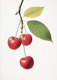 Painting I